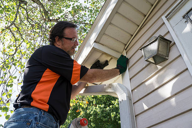 Shed Removal in Harvard, IL